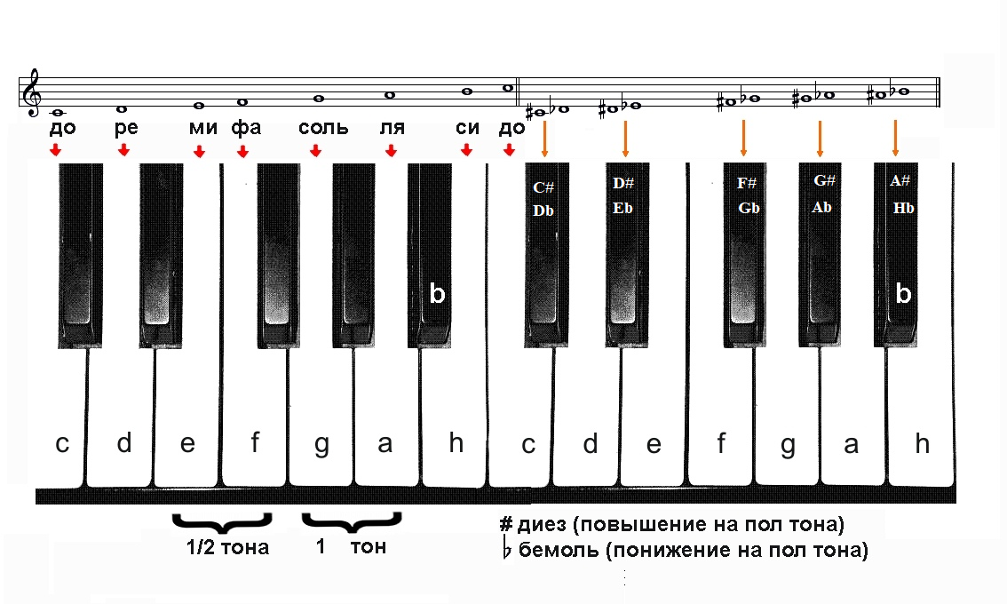 Сравнение нот 12 и нот 13. 1 Октава на синтезаторе. Расположение нот 2 октавы на нотном стане. Расположение нот на фортепиано. Расположение Ноь н нотном стане.